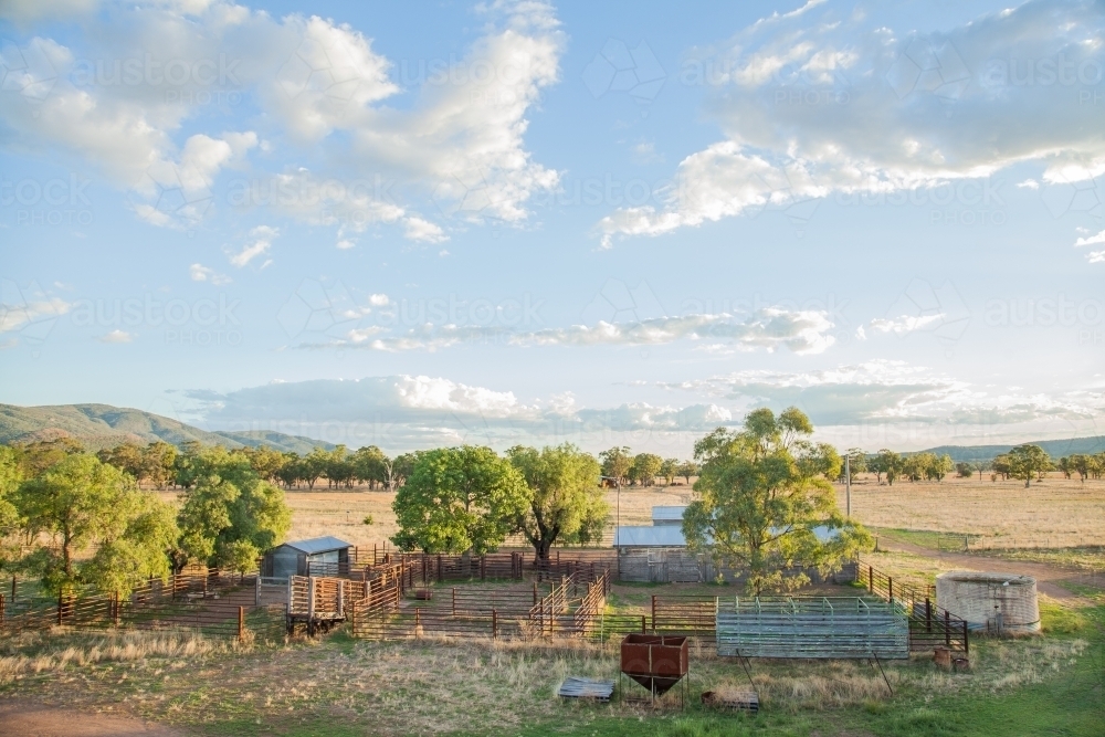 Cattle yards and shed on a farm in the afternoon - Australian Stock Image