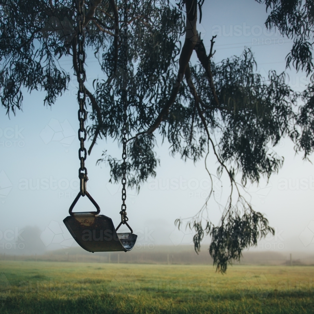 Chain and rubber swing hanging from a gum tree on a misty morning - Australian Stock Image