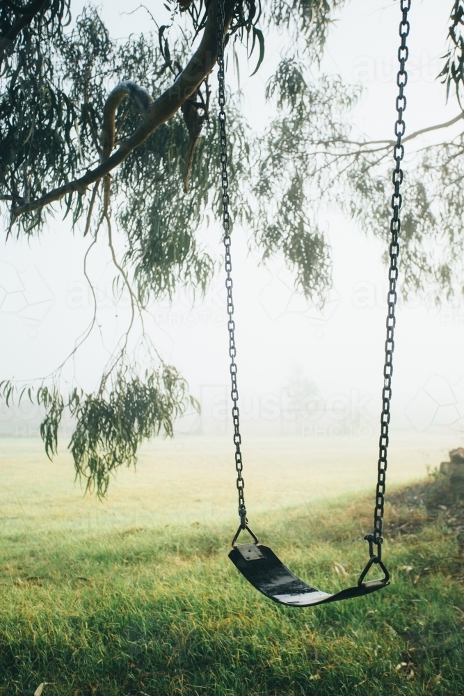 Chain and rubber swing hanging from a gum tree on a misty morning - Australian Stock Image