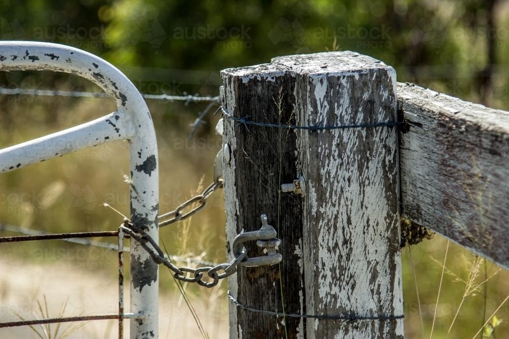 Chain holding a paddock gate closed - Australian Stock Image
