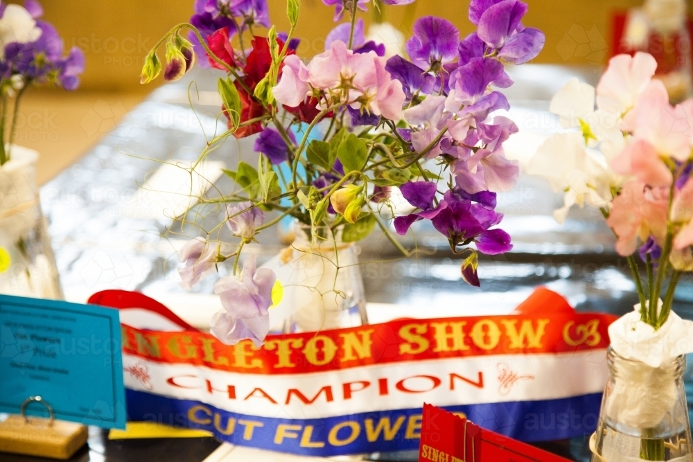 Champion cut flower exhibit at the show with ribbon - Australian Stock Image