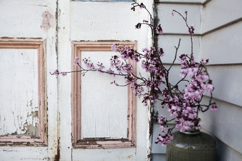 Cherry blossom in vase next to old door frame - Australian Stock Image