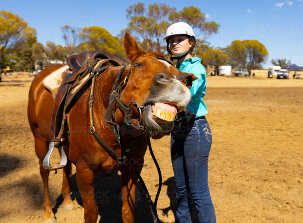 chestnut horse showing its teeth with teenage rider about to mount - Australian Stock Image