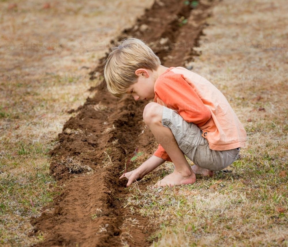 Child planting tree seedling - Australian Stock Image