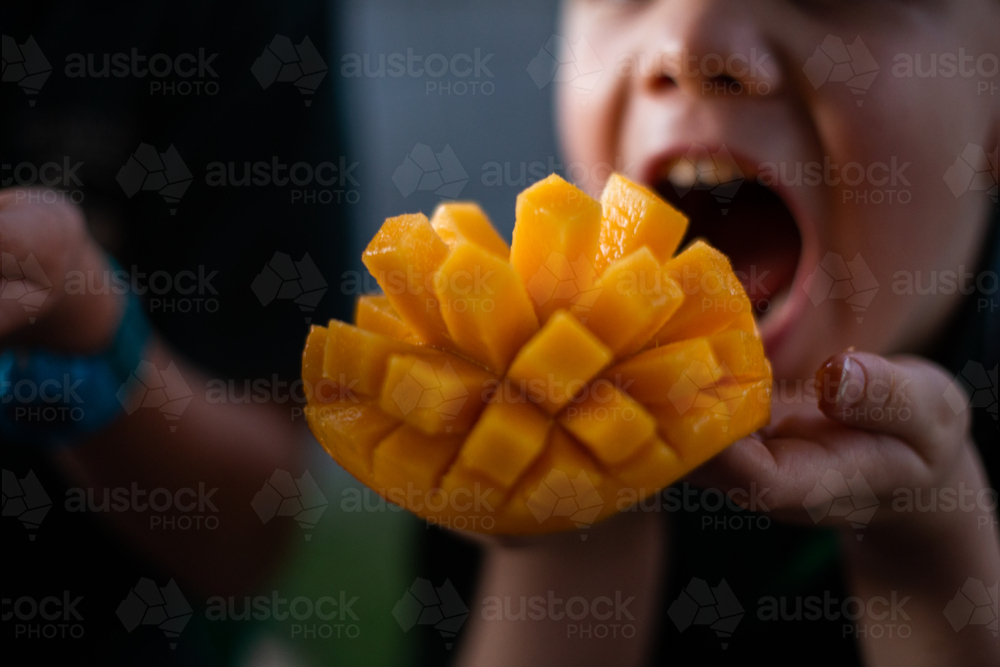 child taking a bite of fresh juicy mango - Australian Stock Image