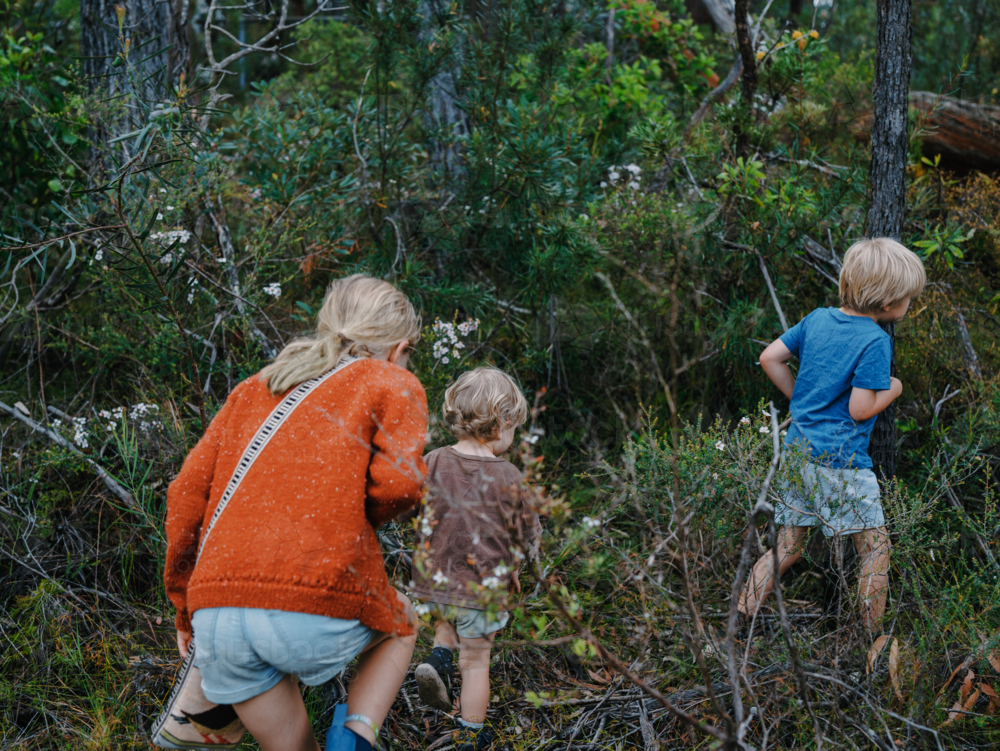 Children exploring Australian Bushland - Australian Stock Image