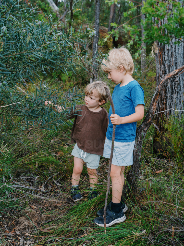 Children exploring Australian Bushland - Australian Stock Image