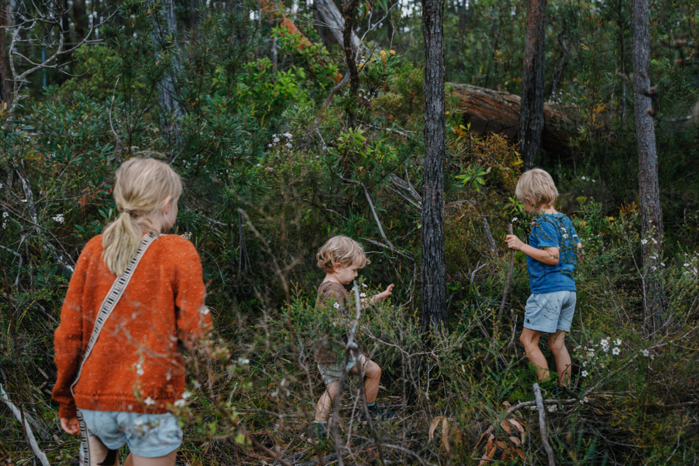 Children exploring Australian Bushland - Australian Stock Image