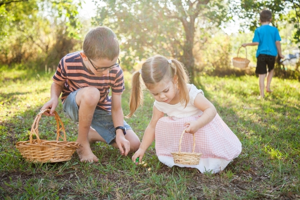 Children finding colourful eggs on an Easter egg hunt - Australian Stock Image
