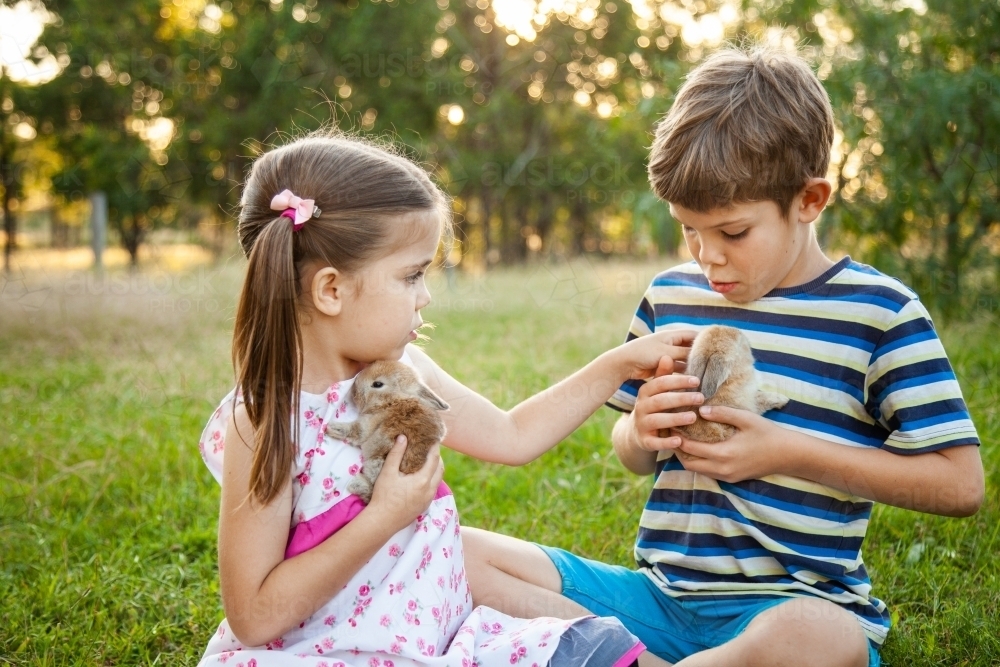 Children playing with their pet bunny rabbits outside - Australian Stock Image