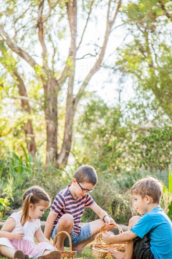 Children sitting on grass sorting out baskets of Easter eggs - Australian Stock Image