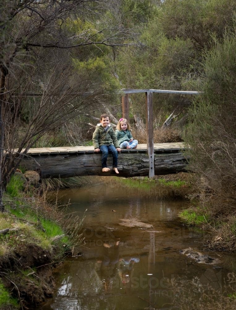 Image of Children sitting on wooden tree bridge in bushland - Austockphoto