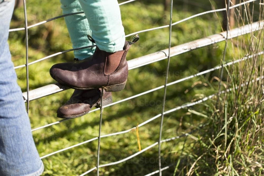Children wearing boots climbing a fence on a farm - Australian Stock Image