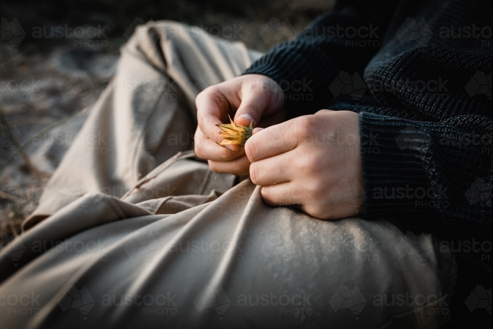 childs hand holding a yellow flower - Australian Stock Image