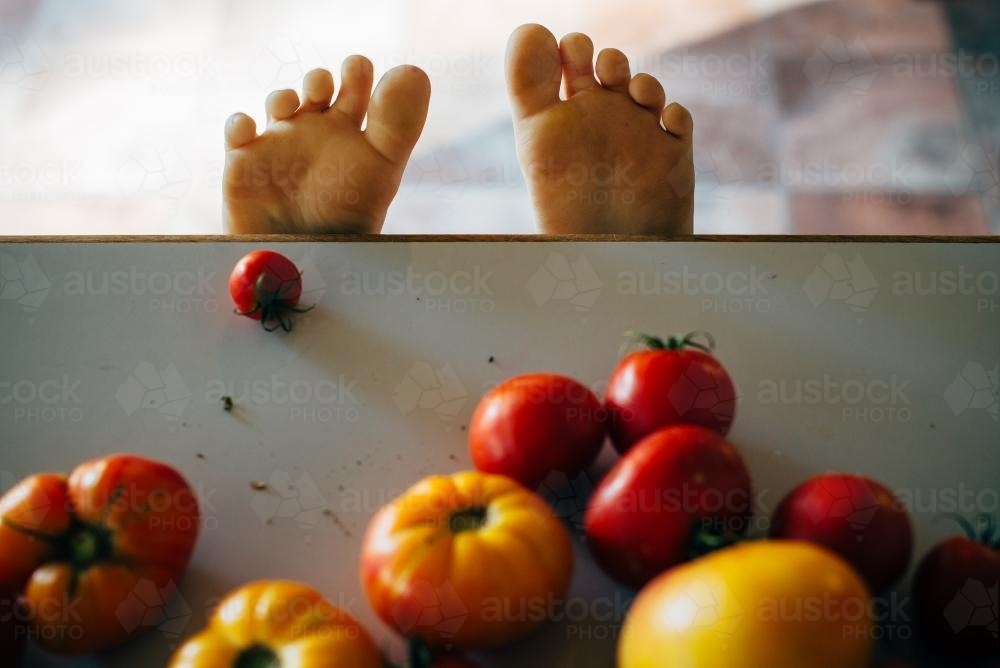 Childs toes on a bench with tomatoes in foreground - Australian Stock Image