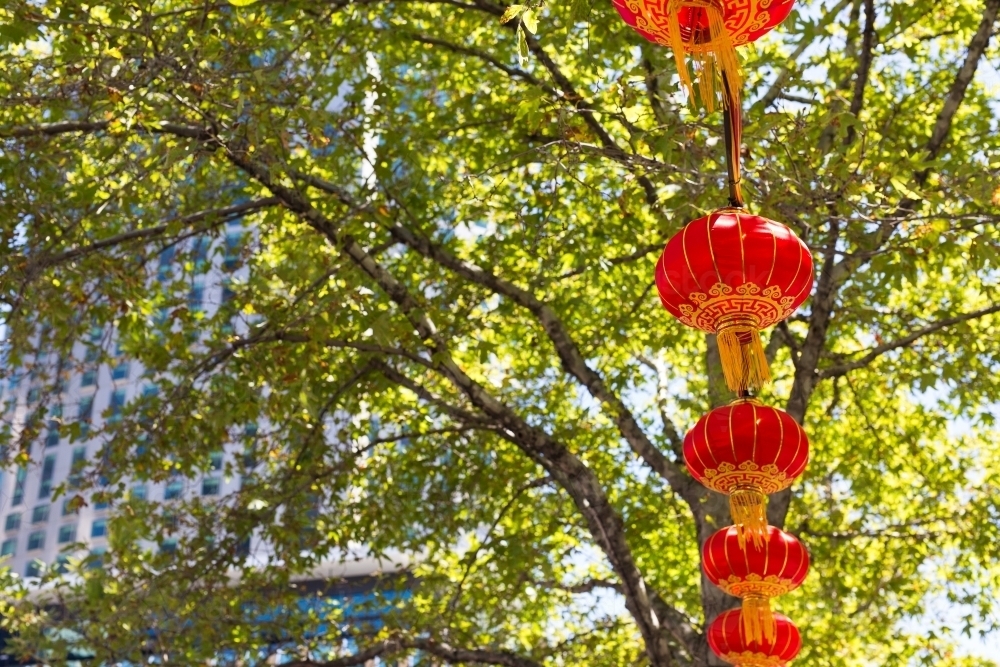 chinese lanterns at a chinese new year celebration in melbourne cbd with a building and tree - Australian Stock Image