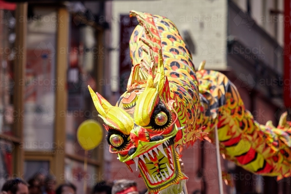 Chinese New Year Dragon Pictures 5