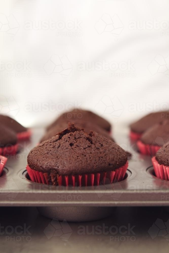 Chocolate cupcakes in tray with clear space above - Australian Stock Image