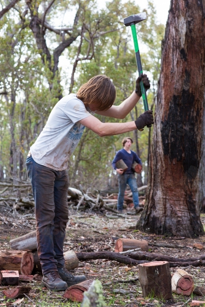 Chopping firewood in the bush - Australian Stock Image