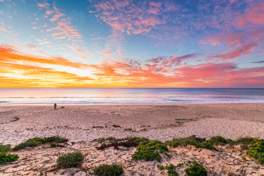 Christies beach with silhouette of a surfer with surfing board and a dog at sunset - Australian Stock Image