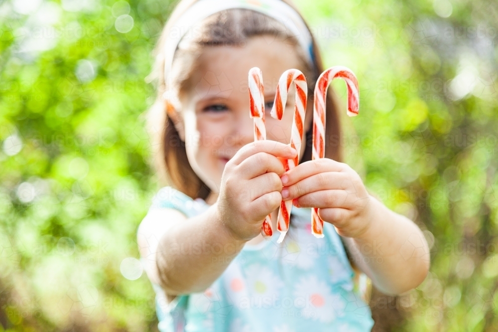 Christmas candy canes in child's hands - Australian Stock Image