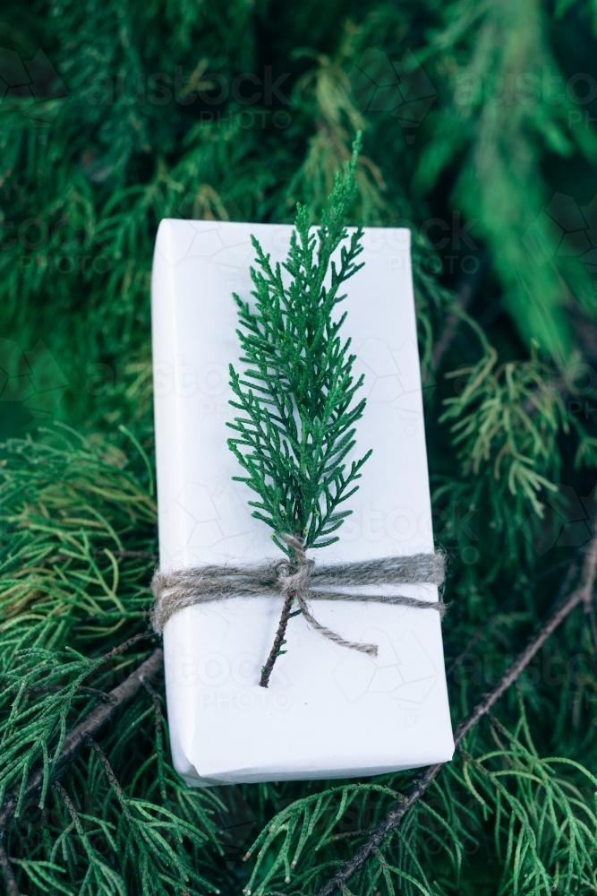 christmas gift of plain paper with pine sprig - Australian Stock Image