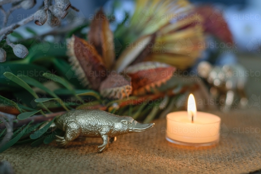 Christmas table arrangement with native flowers, tea light and gold platypus ornament - Australian Stock Image