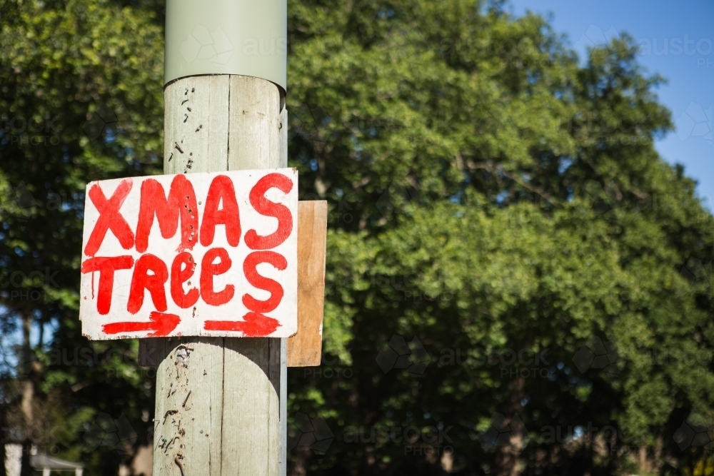Christmas Tree Sign on pole - Australian Stock Image