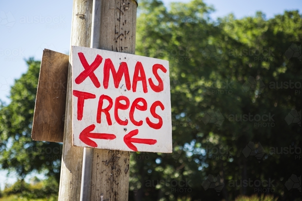 Christmas tree sign on power pole - Australian Stock Image
