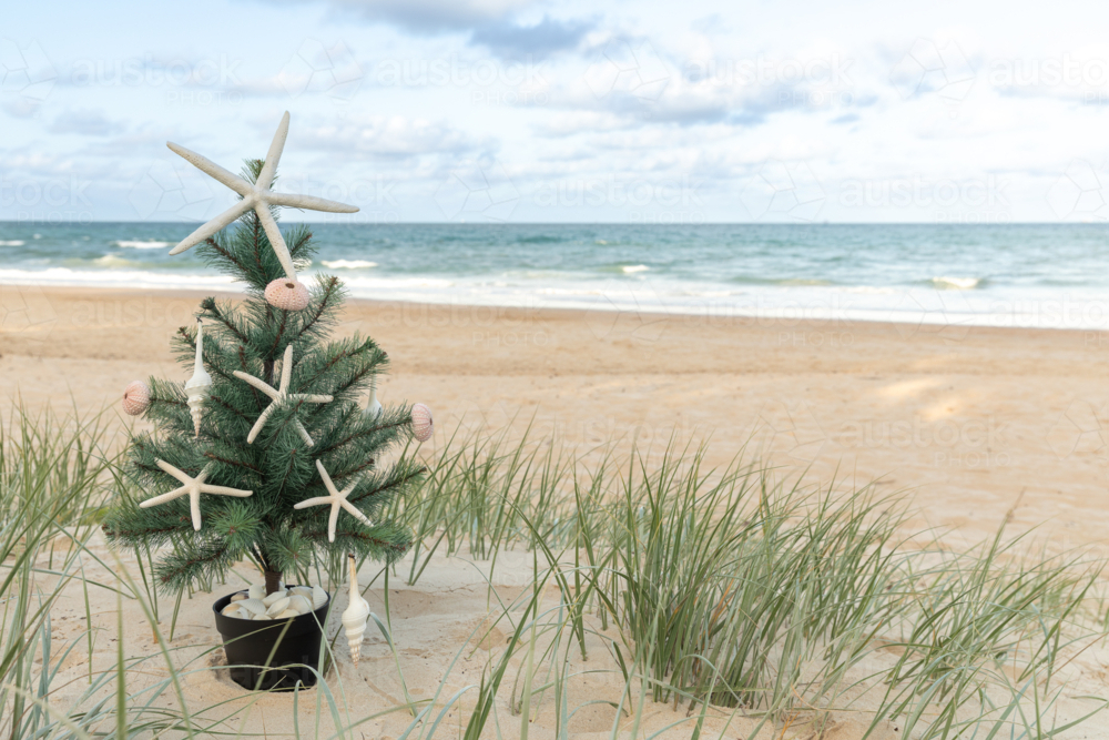 Christmas tree with starfish, shell ornaments in left third of sand dunes with ocean and blue sky - Australian Stock Image