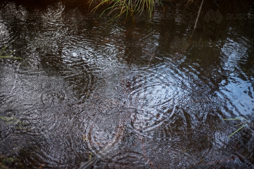 Circular patterns in river - Australian Stock Image
