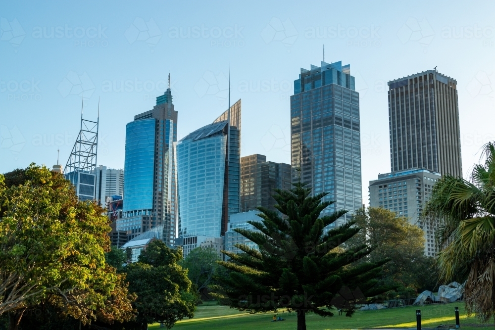 city skyline from botanic gardens - Australian Stock Image
