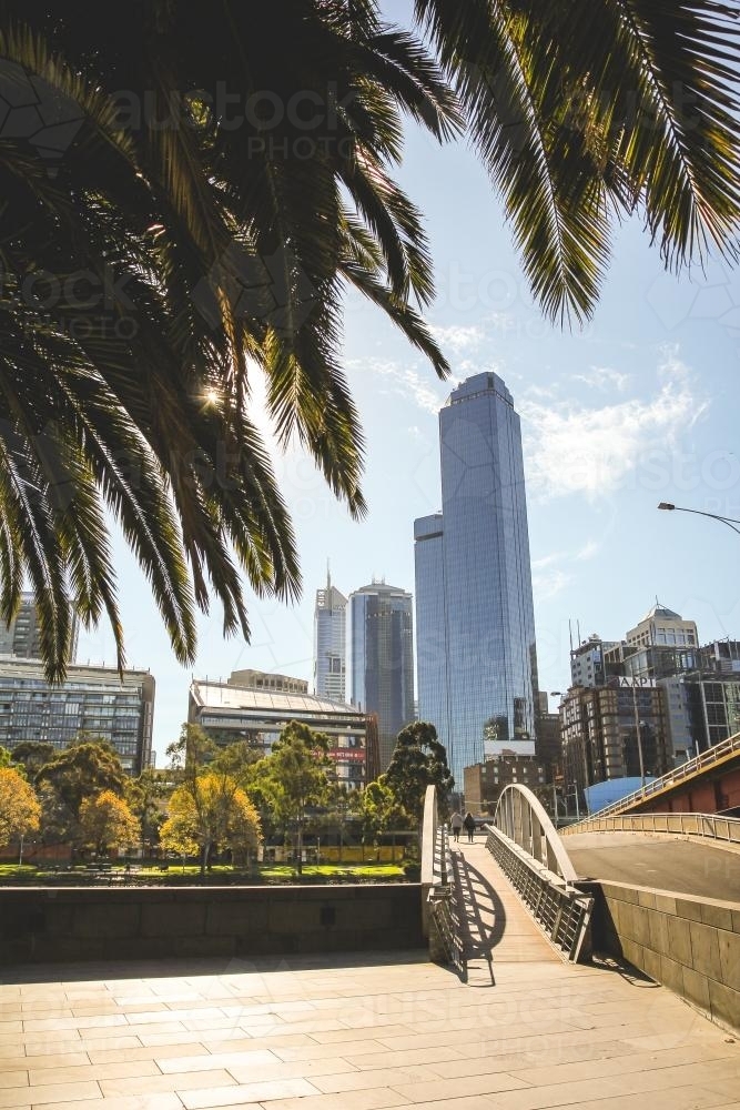 City skyline with bridge and palm trees in foreground - Australian Stock Image