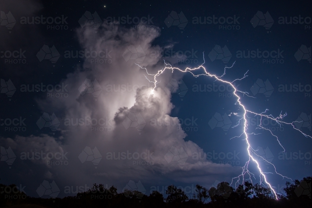 Clean air lightning Jabiru - Australian Stock Image