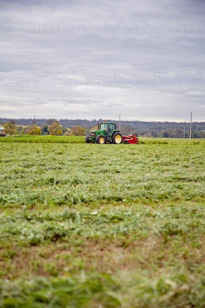Green tractor pulling red slasher in lucerne paddock - Australian Stock Image