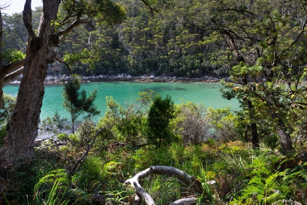Clear water of Denman's Cove surrounded by bush - Australian Stock Image