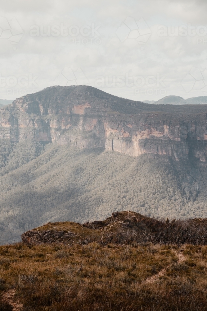 Clifftop views near the summit of the Lockleys Pylon Walking Track - Australian Stock Image