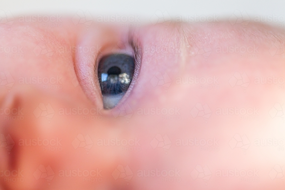 Close up detail of blue baby eye - Australian Stock Image