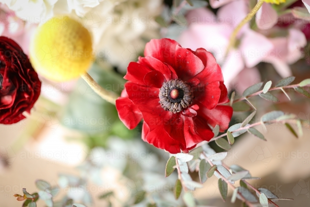 Close up image of a bunch of fresh cut cottage flowers - Australian Stock Image