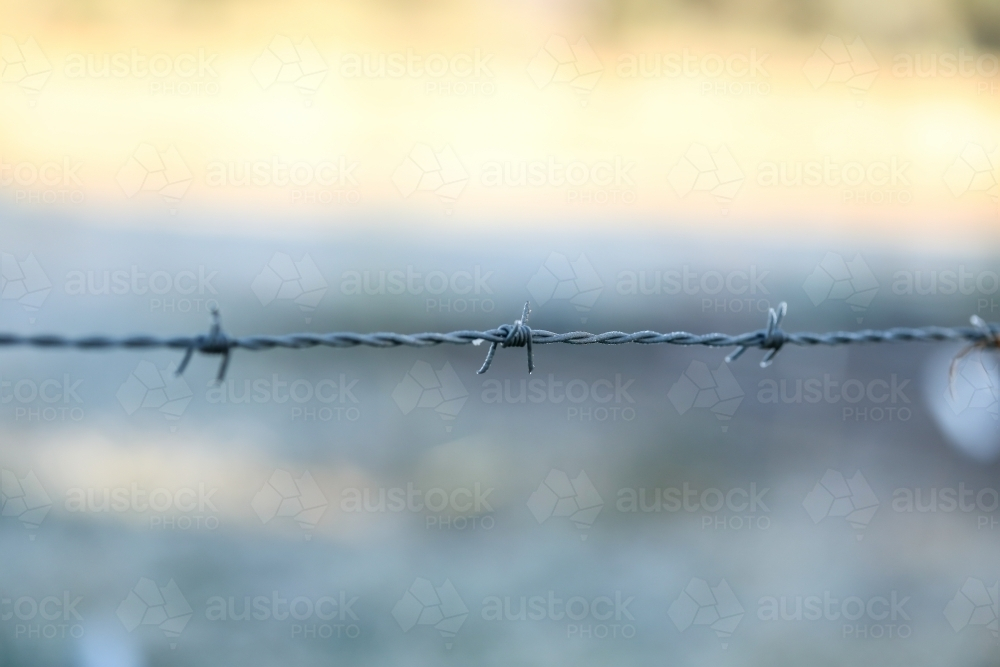 Close up image of barbed wire fence on frosty winter morning - Australian Stock Image