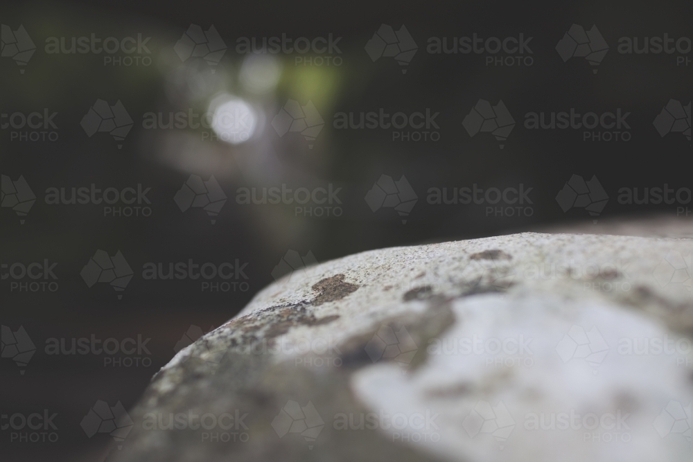 Close up of a rock surface - Australian Stock Image
