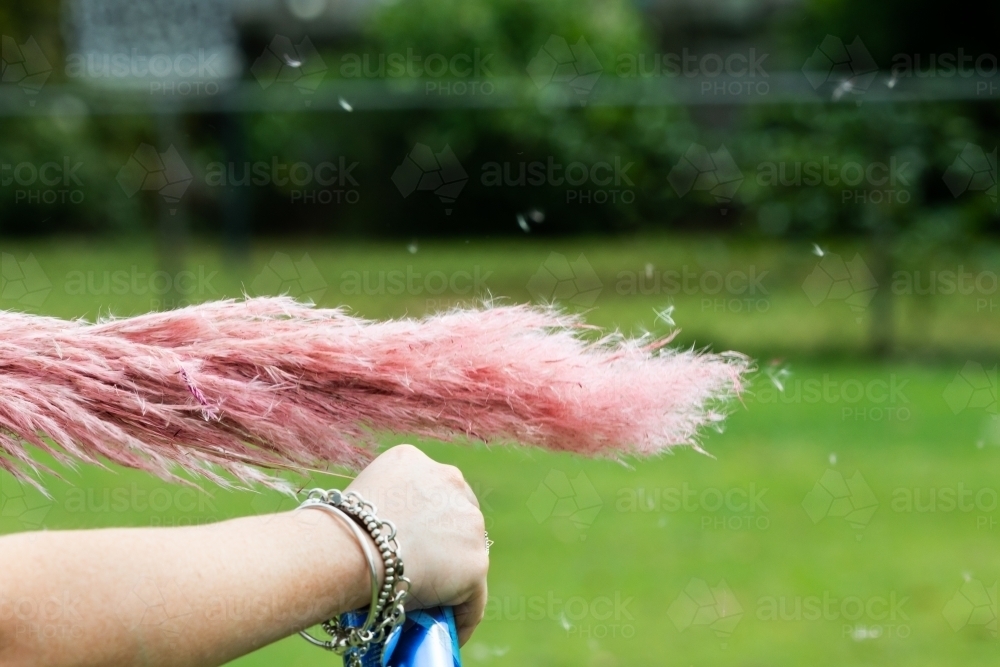 Close up of a woman's hand spraying decorative, feathery grass with blurred green background - Australian Stock Image