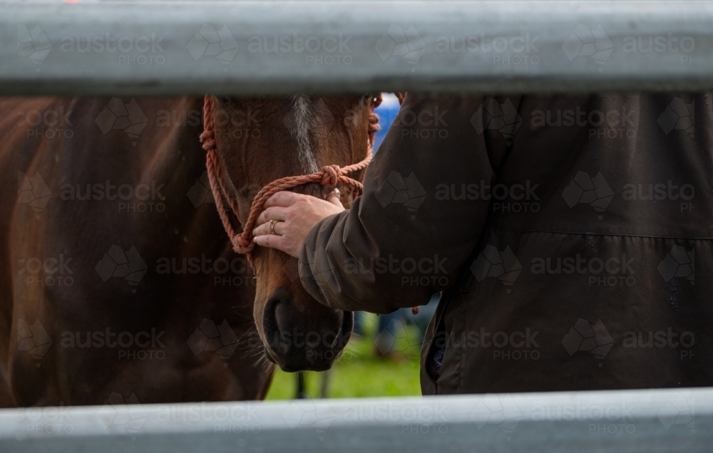 Close up of a woman with her hand on the horse's nose in a horse yard - Australian Stock Image