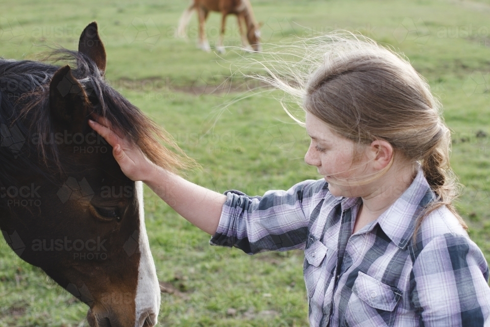 Close up of a young girl patting a horse - Australian Stock Image