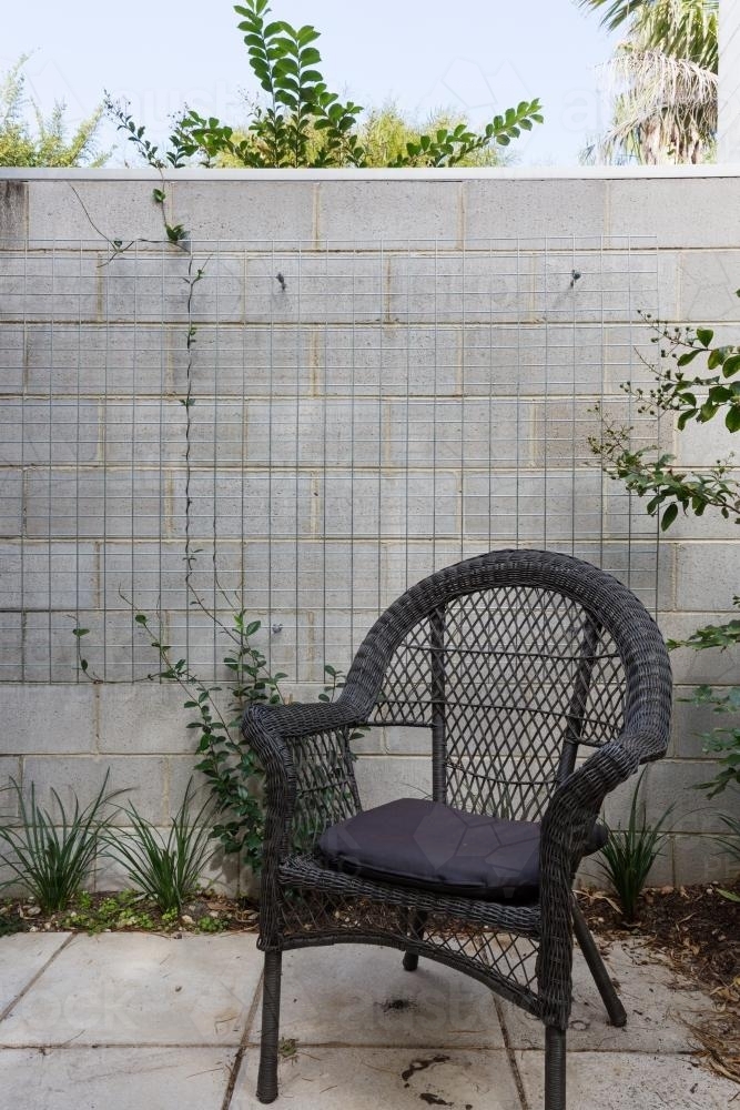 Close up of black cane outdoor chair in courtyard against block brick wall with creeper plant - Australian Stock Image