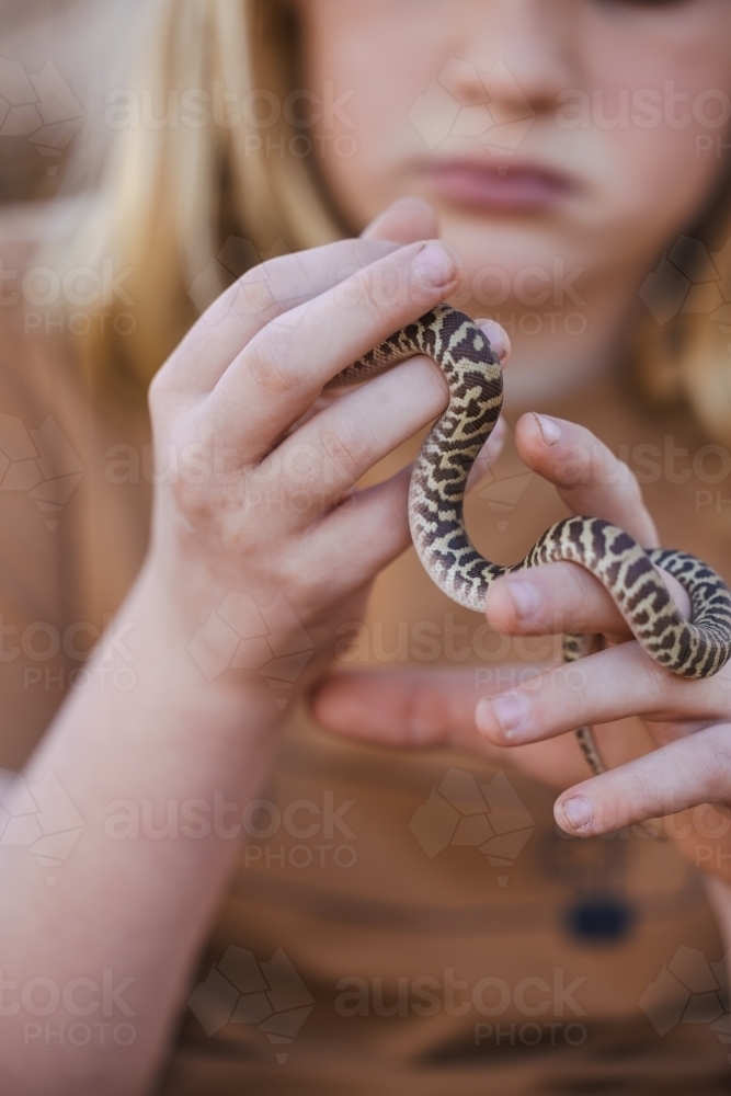Image of Close up of child's hands holding pet Children's Python snake ...