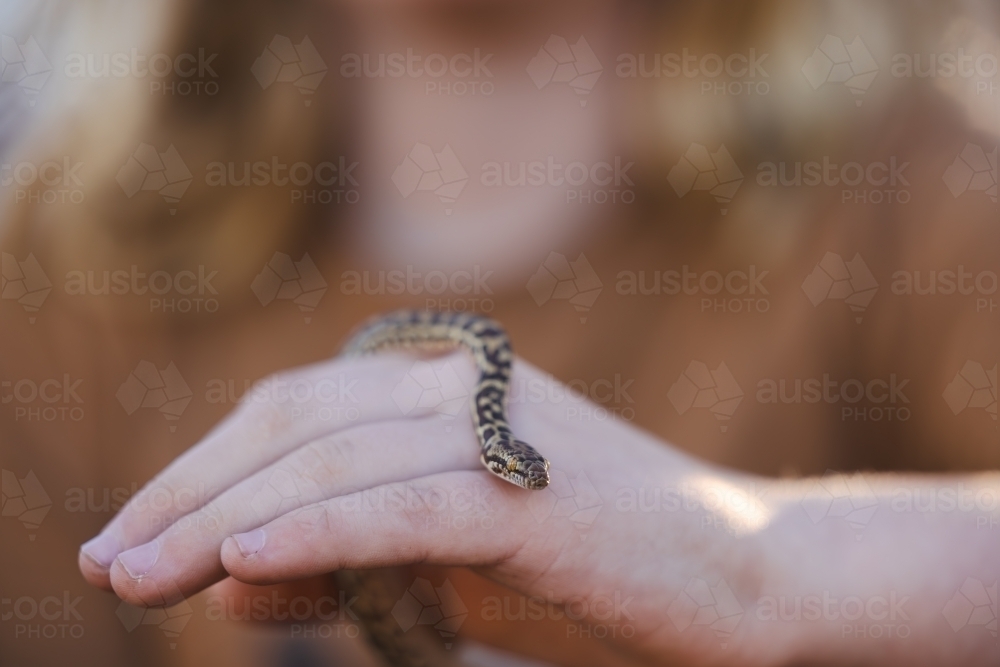 Image of Close up of child's hands holding pet Children's Python snake ...