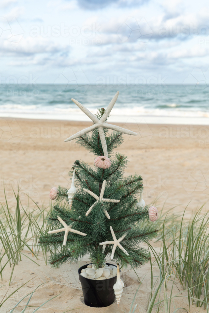 Close up of Christmas tree with starfish, shell ornaments in sand dunes with ocean and blue sky - Australian Stock Image