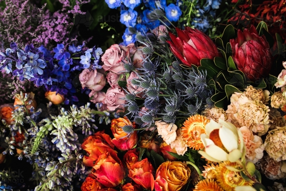 Close up of colourful flower bunch - Australian Stock Image