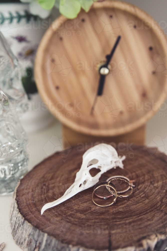 Close up of copper rings and bird skull on wooden block with blurry clock in the background - Australian Stock Image